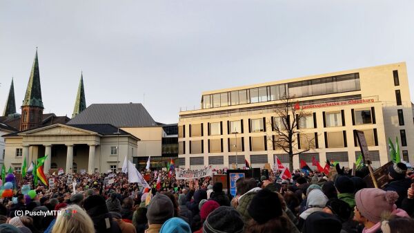 Menschenmenge mit Plakaten und Fahnen